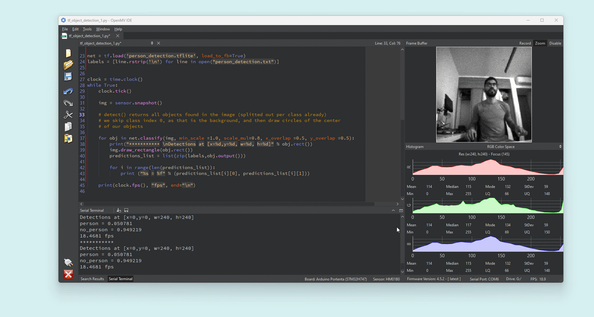 Person detection example running