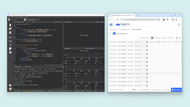 LoRaWAN® uplink received on TTN